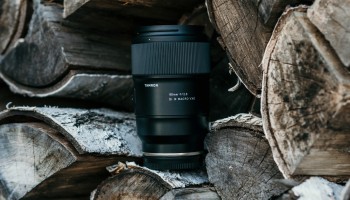 Obiektyw Tamron 90 mm f/2.8 Di III VXD Macro i jego niezrównana jakość detali