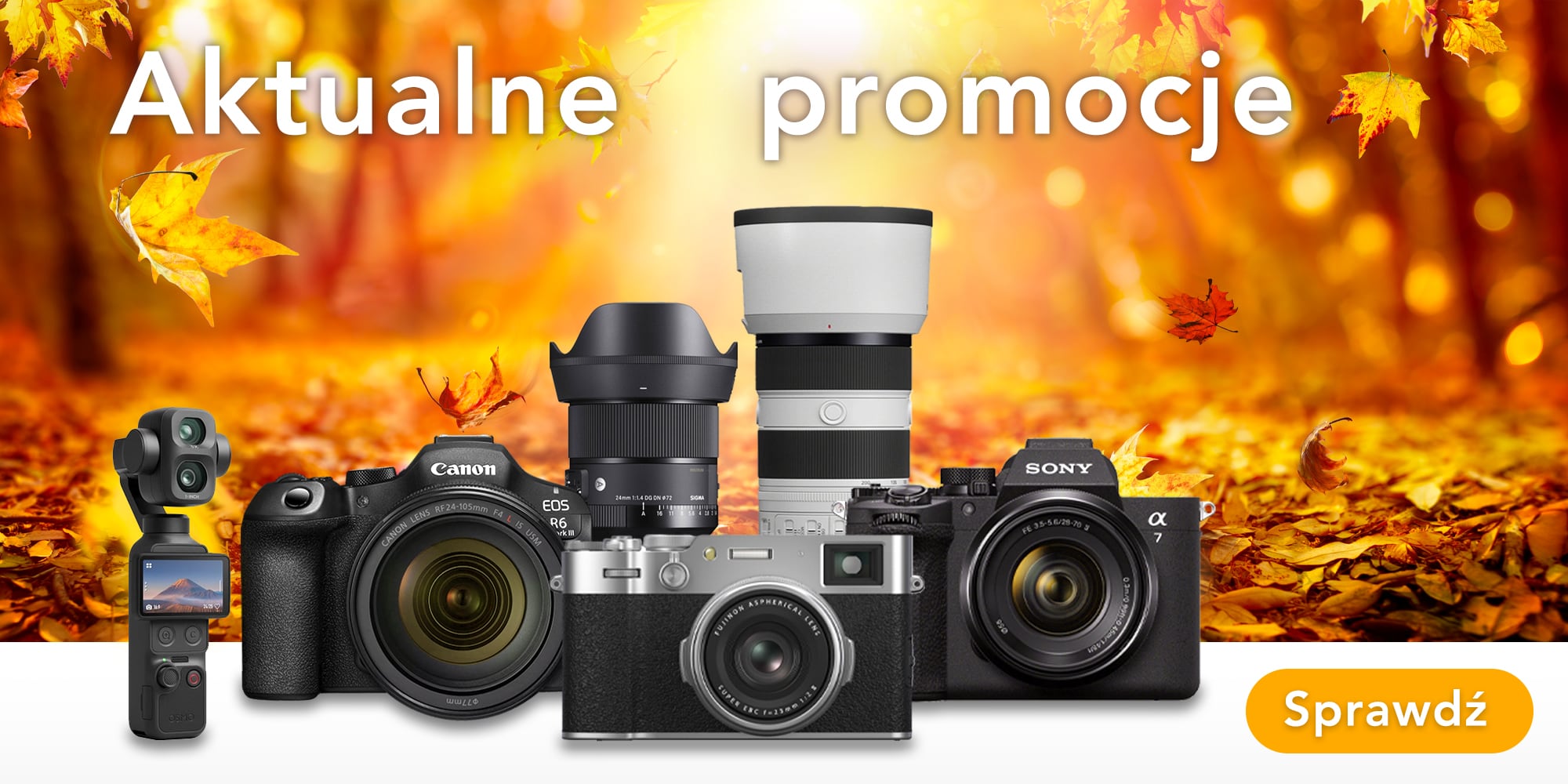 Promocje