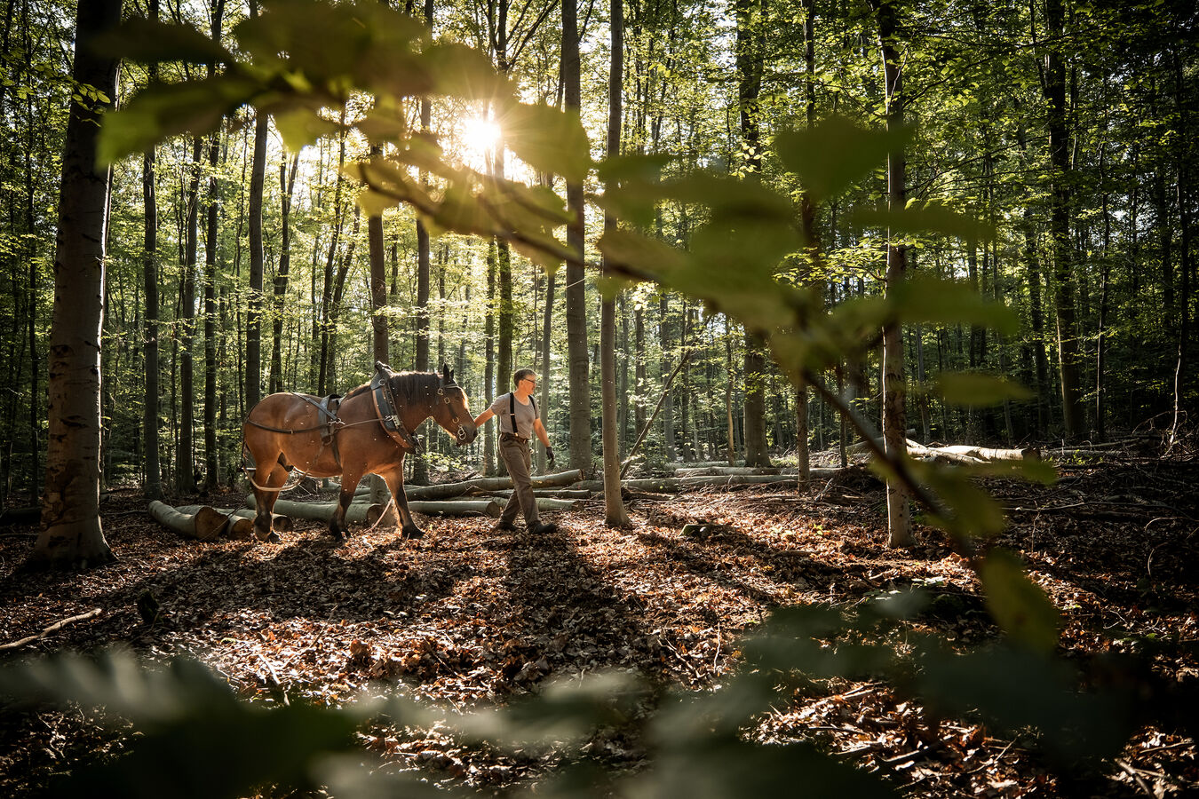 Obiektyw Fujinon XF 16-55mm f/2,8 R LM WR II | Obiektyw FUJINON z 5-letnią gwarancją!