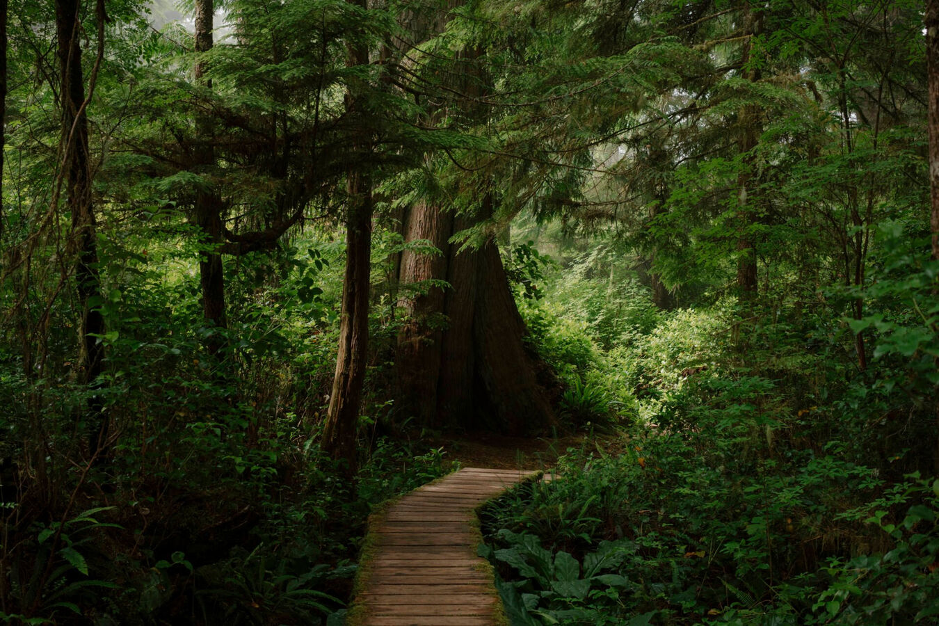 Obiektyw Nikkor Z 35mm f/1.7 S DX MC+ dobierz filtr UV za 1 zł