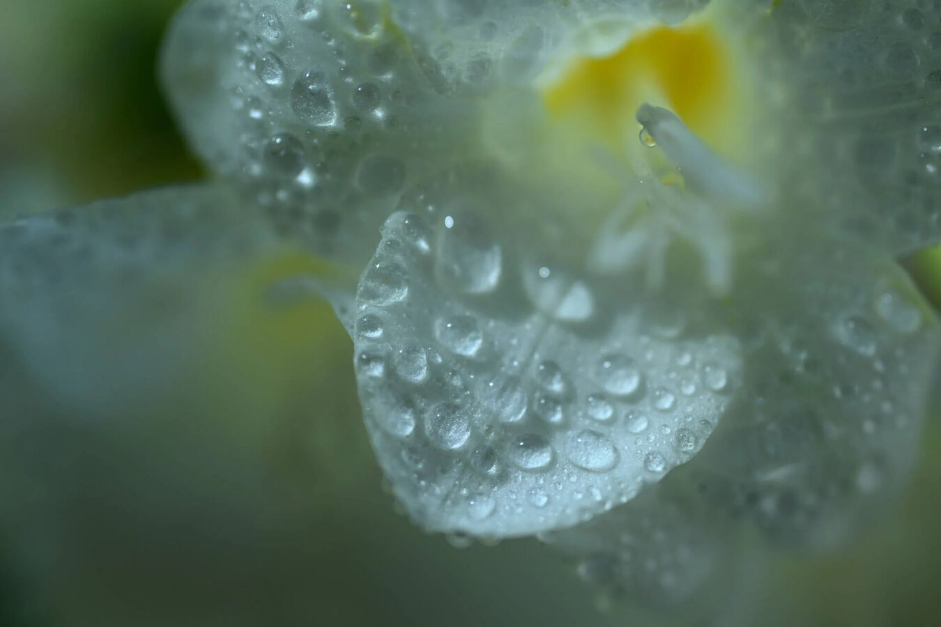 Obiektyw Nikkor Z 35mm f/1.7 S DX MC+ dobierz filtr UV za 1 zł