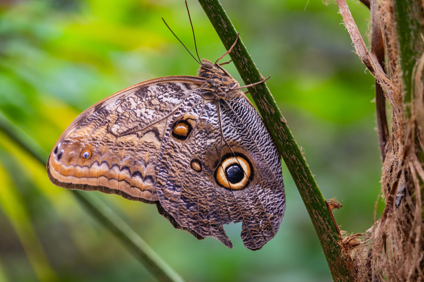 Obiektyw Sigma 20-200mm f/3.5-6.3 DG Contemporary (L-Mount) - 3 lata gwarancji
