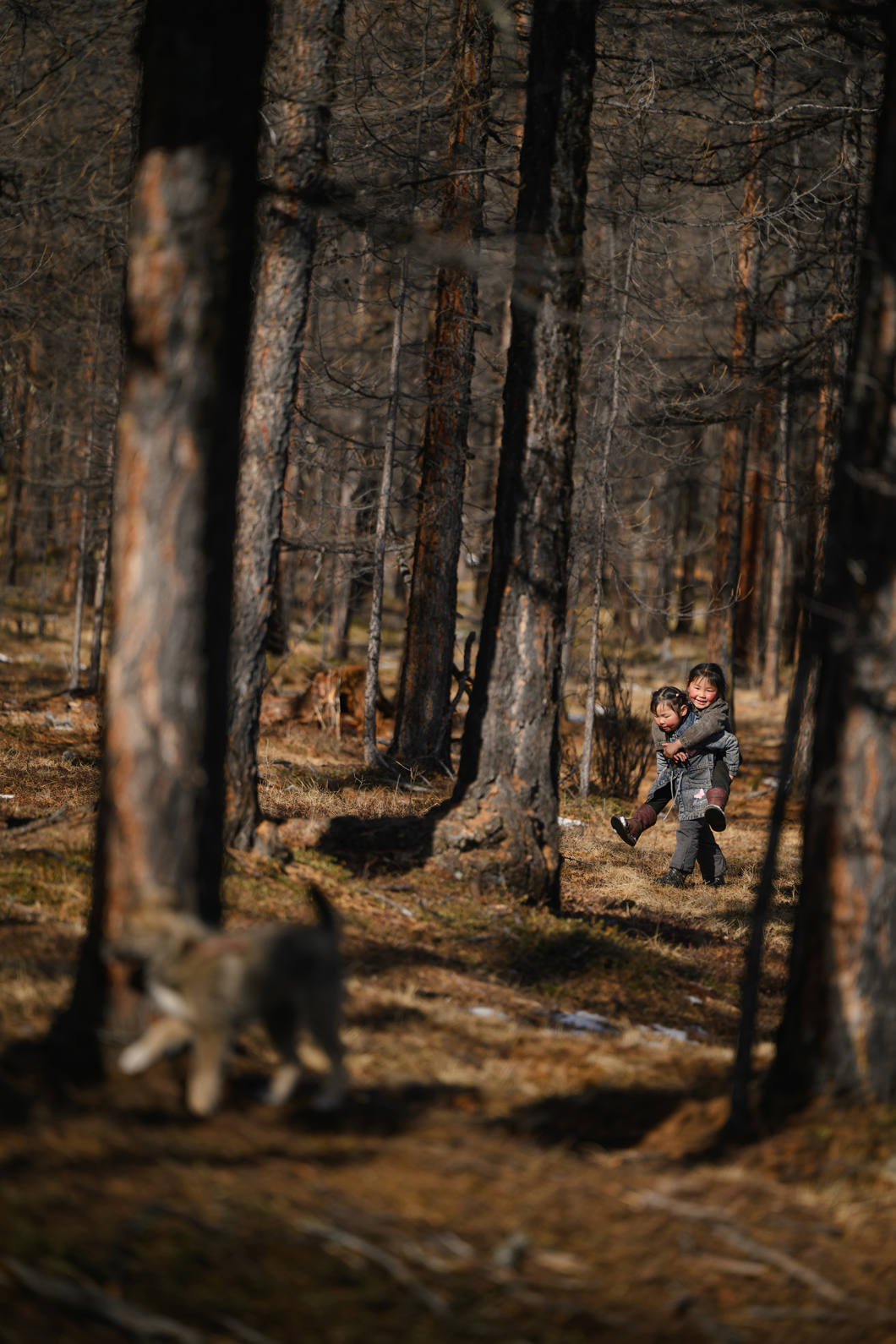 Obiektyw Tamron 70-180mm f/2.8 Di III VXD VC G2 (Nikon Z) + 5 lat gwarancji