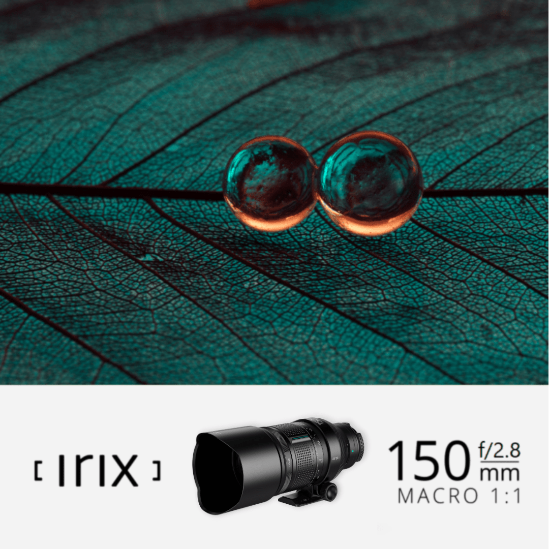 Obiektyw Irix 150mm f/2,8 Macro (Sony E) - PROMOCJA