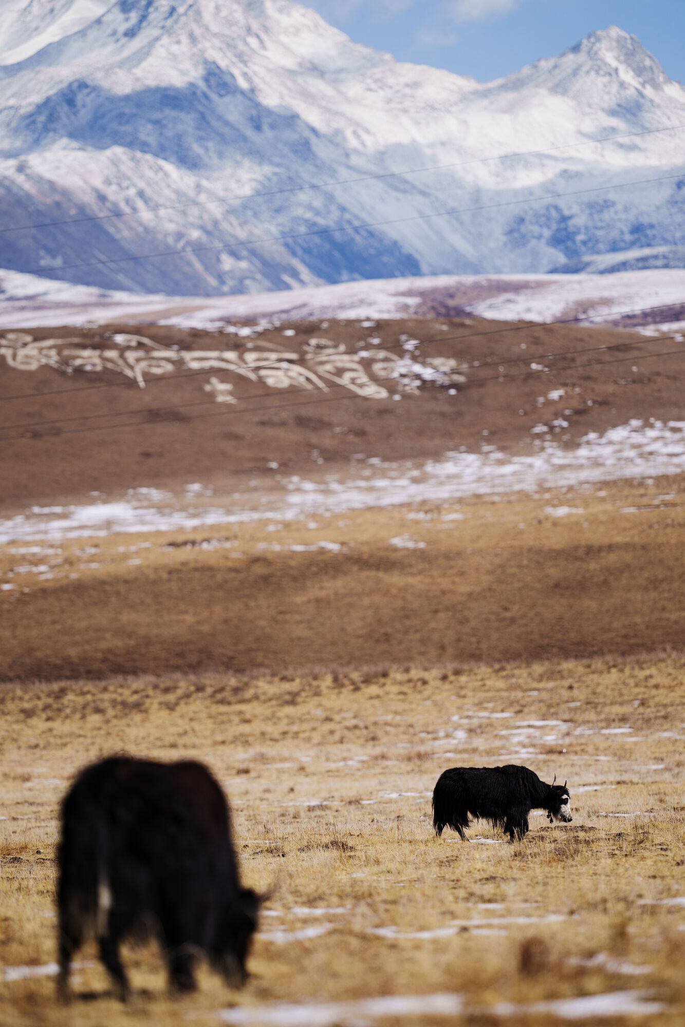 Obiektyw Sigma 200mm f/2 DG DN Sport (Sony E) - 3 lata gwarancji - Kup taniej o 1000zł, wpisz kod Sigma1000