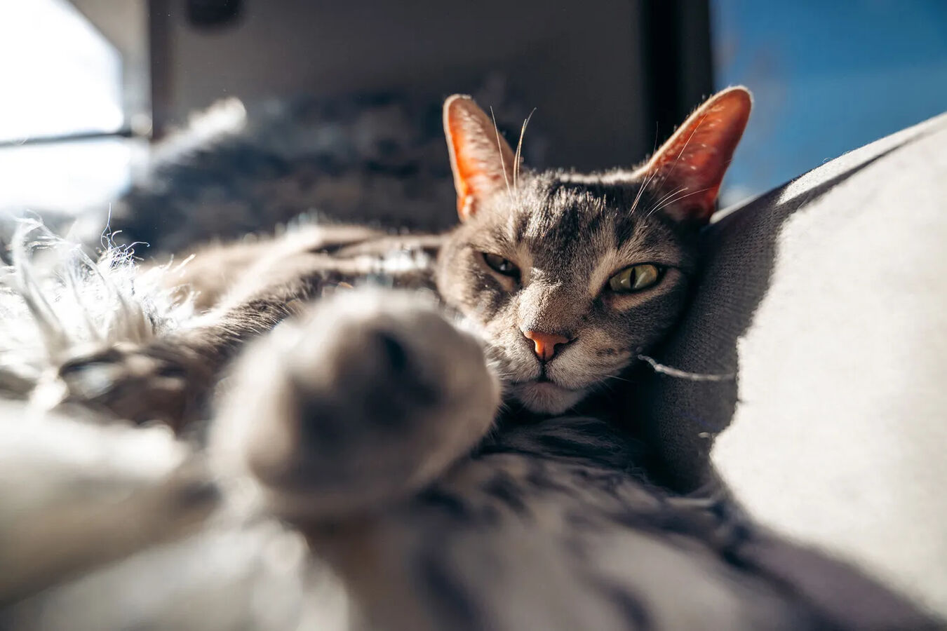 Obiektyw Tamron 16-30mm f/2,8 Di III VXD G2 (Sony E) + 5 lat gwarancji