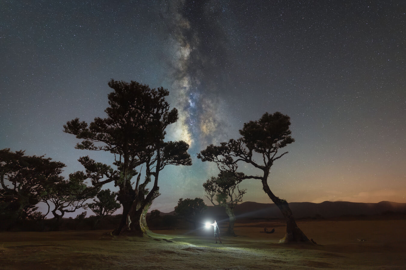 Obiektyw Canon RF 14mm f/1.4L VCM - Przedsprzedaż