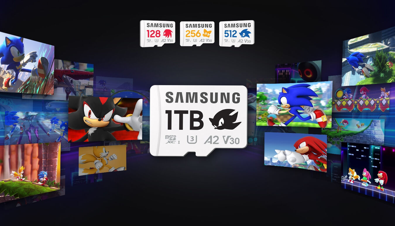 Karta pamięci Samsung Sonic