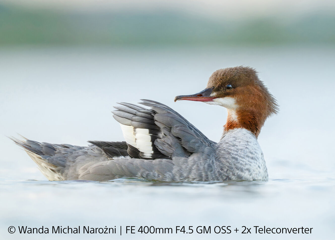 Obiektyw Sony FE GM 400mm f/4,5 OSS - Dobierz konwerter 1000zł taniej! - PRZEDSPRZEDAŻ !