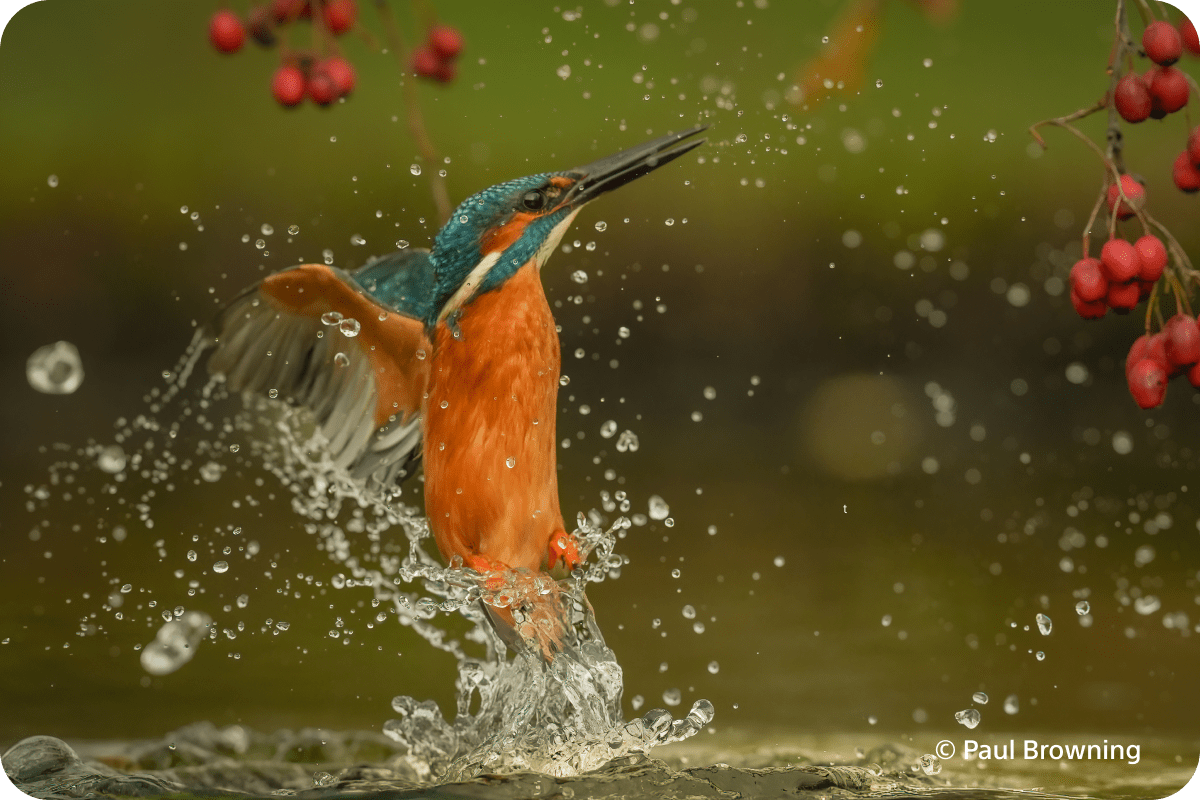 Bezlusterkowiec Sony A7 V Body ILCE7M5 + Dobierz obiektyw 1000zł taniej! + Dodatkowy rok gwarancji w My sony!