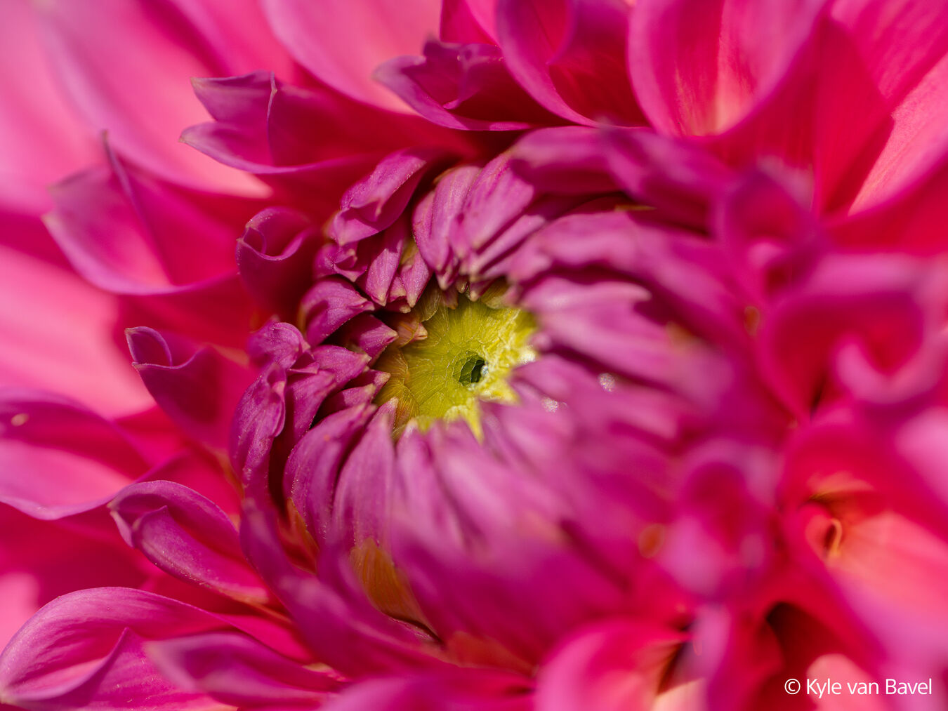 Obiektyw Sony FE GM 100mm f/2.8 MACRO - Pełnoklatkowy obiektyw do makrofotografii SEL100M28GM