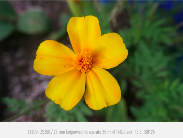 Aparat Panasonic Lumix TZ300 (srebrny) - NOWOŚĆ!