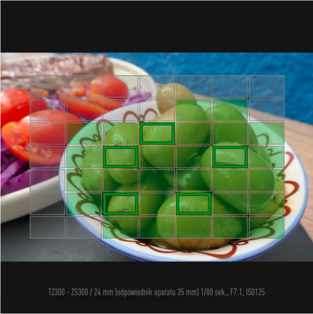 Aparat Panasonic Lumix TZ300 (srebrny) - NOWOŚĆ!