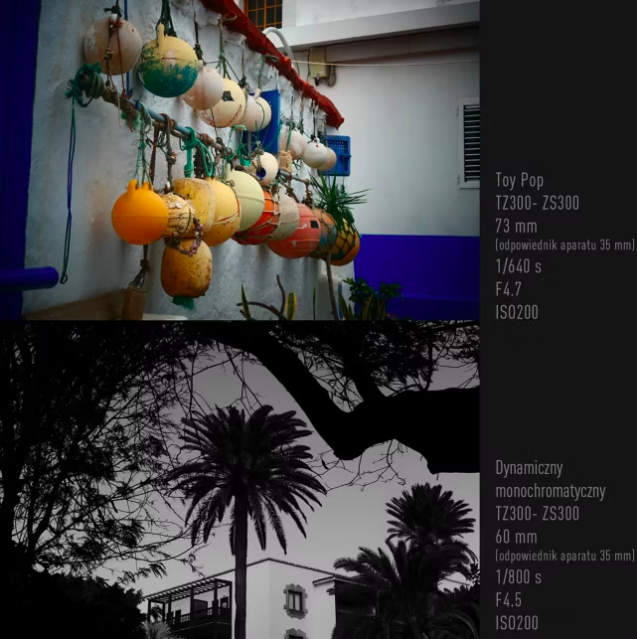 Aparat Panasonic Lumix TZ300 (srebrny) - NOWOŚĆ!