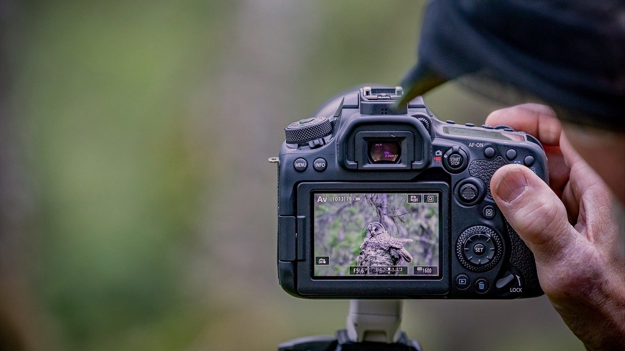 Lustrzanka Canon EOS 90D (body) + Gratis Karta SanDisk SDXC Extreme PRO 64GB (170MB/s) - 550zł Canon Cashback