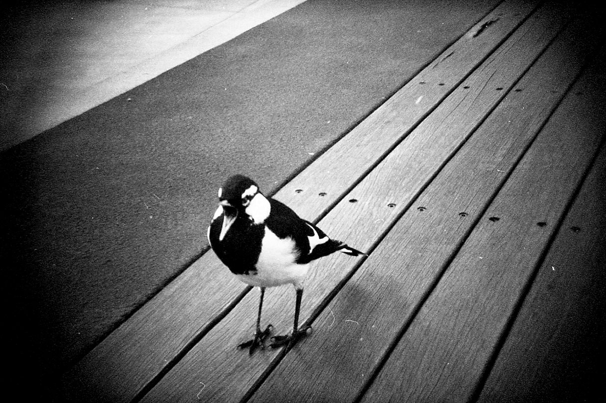 Aparat analogowy Holga 135BC
