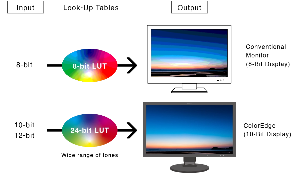 Monitor EIZO ColorEdge CG3100X [Autoryzowany Partner Premium = 6 lat gwarancji]