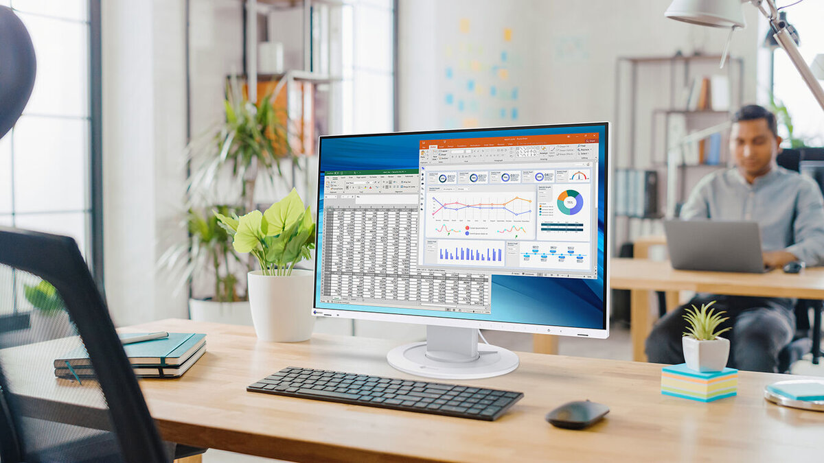 Monitor EIZO FlexScan EV2410R-BK [Autoryzowany Partner Premium]