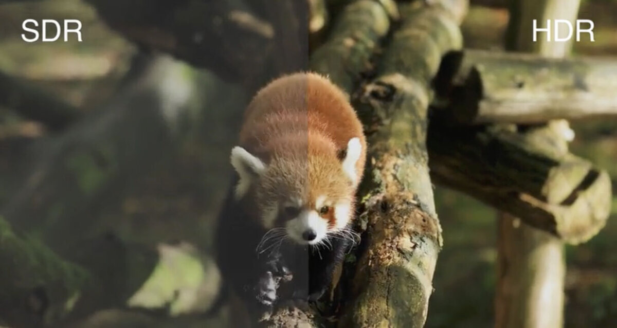 Monitor EIZO ColorEdge CG3100X [Autoryzowany Partner Premium = 6 lat gwarancji]