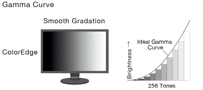 Monitor EIZO ColorEdge CG3100X [Autoryzowany Partner Premium = 6 lat gwarancji]