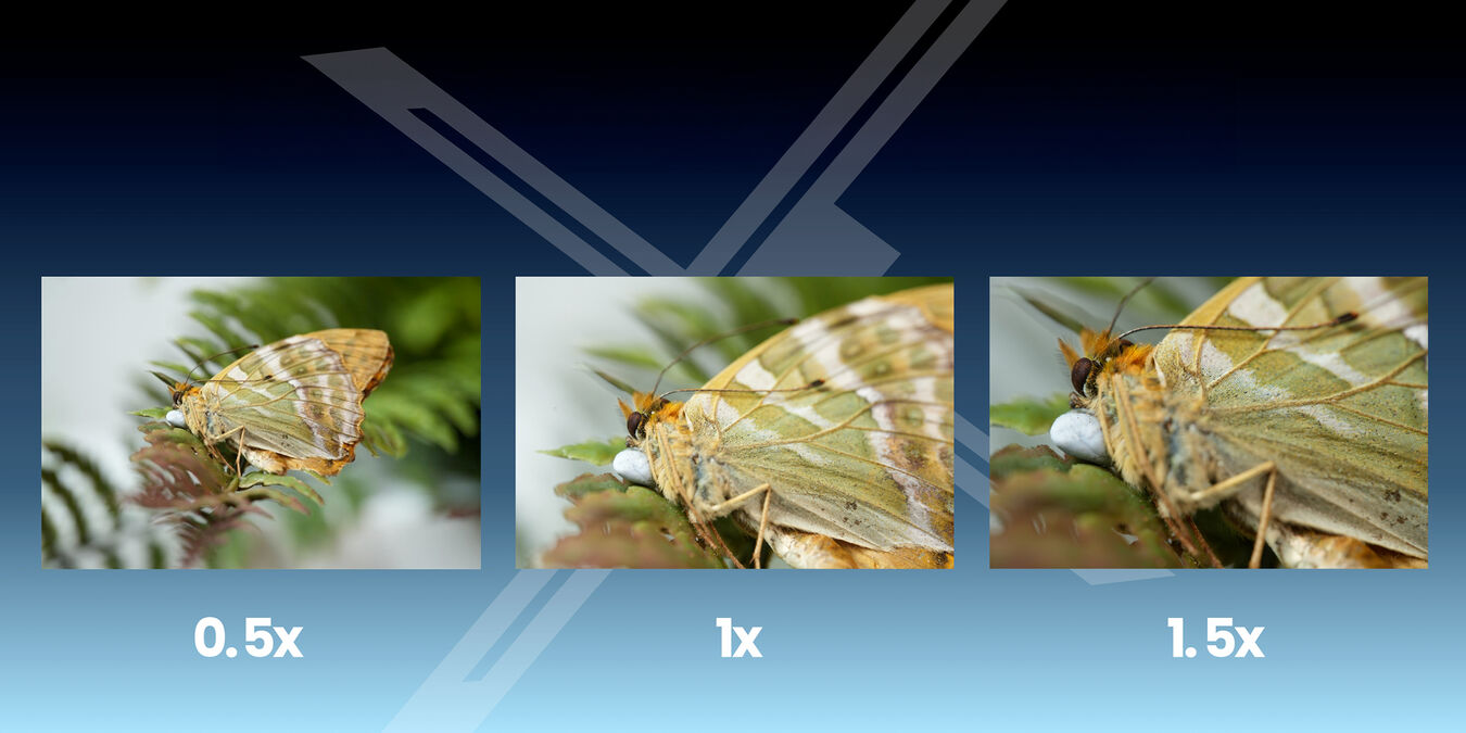 Obiektyw Laowa 180 mm f/4,5 1,5x Ultra Macro APO AF - Nikon Z