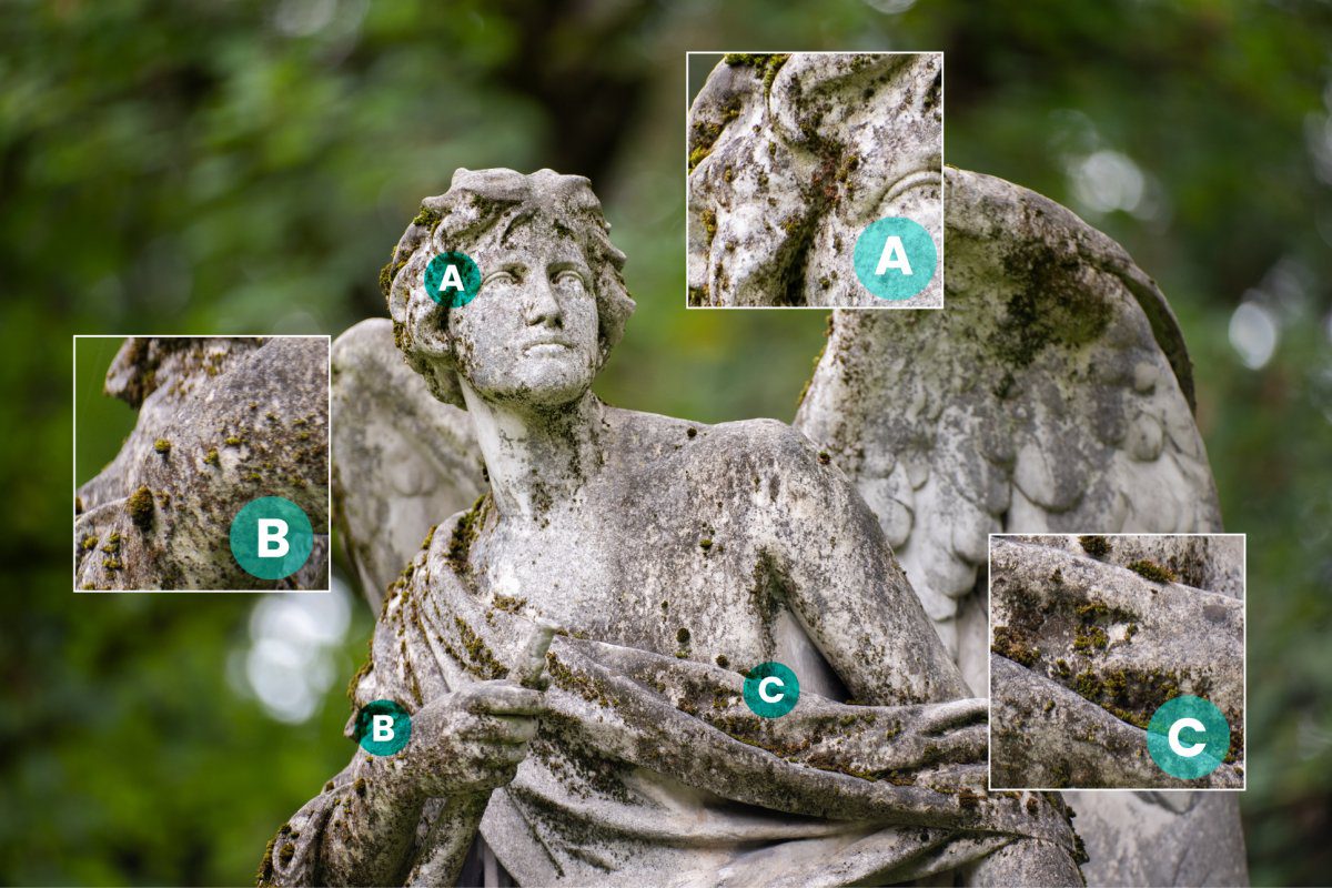 Obiektyw Laowa 200 mm f/2 AF C-Dreamer FF - Canon EF