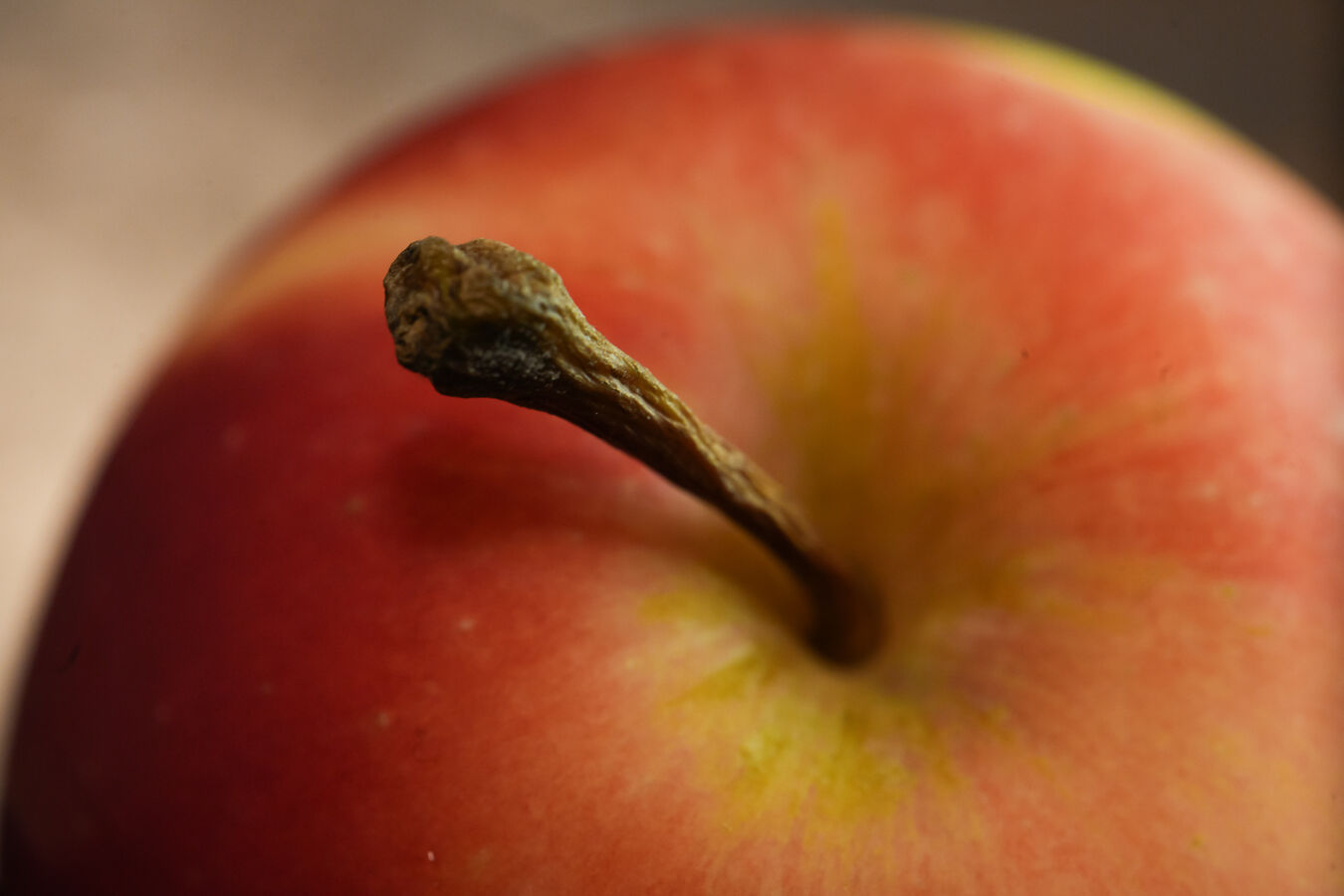 Obiektyw Laowa 100mm F/2.8 Tilt-Shift Macro 1x - Fujifilm GFX