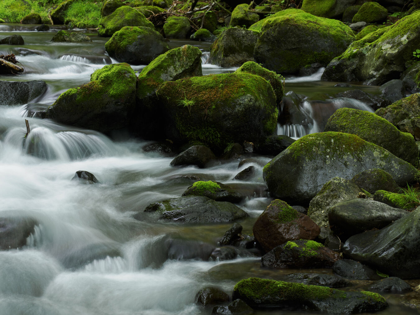 Obiektyw OM System M.Zuiko 50-200 f/2.8 IS PRO