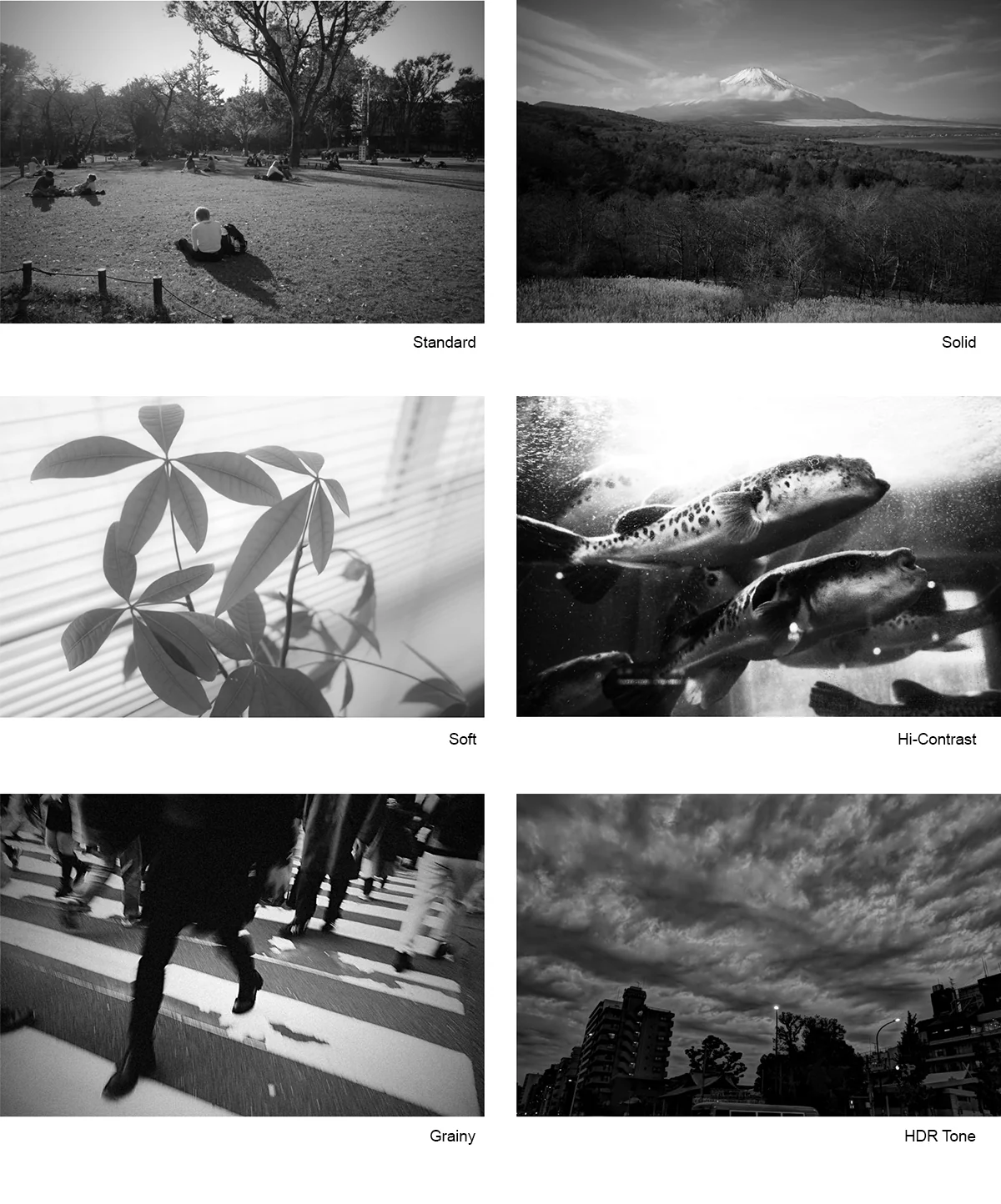 Aparat Ricoh GR IV Monochrom - Nocna Promocja