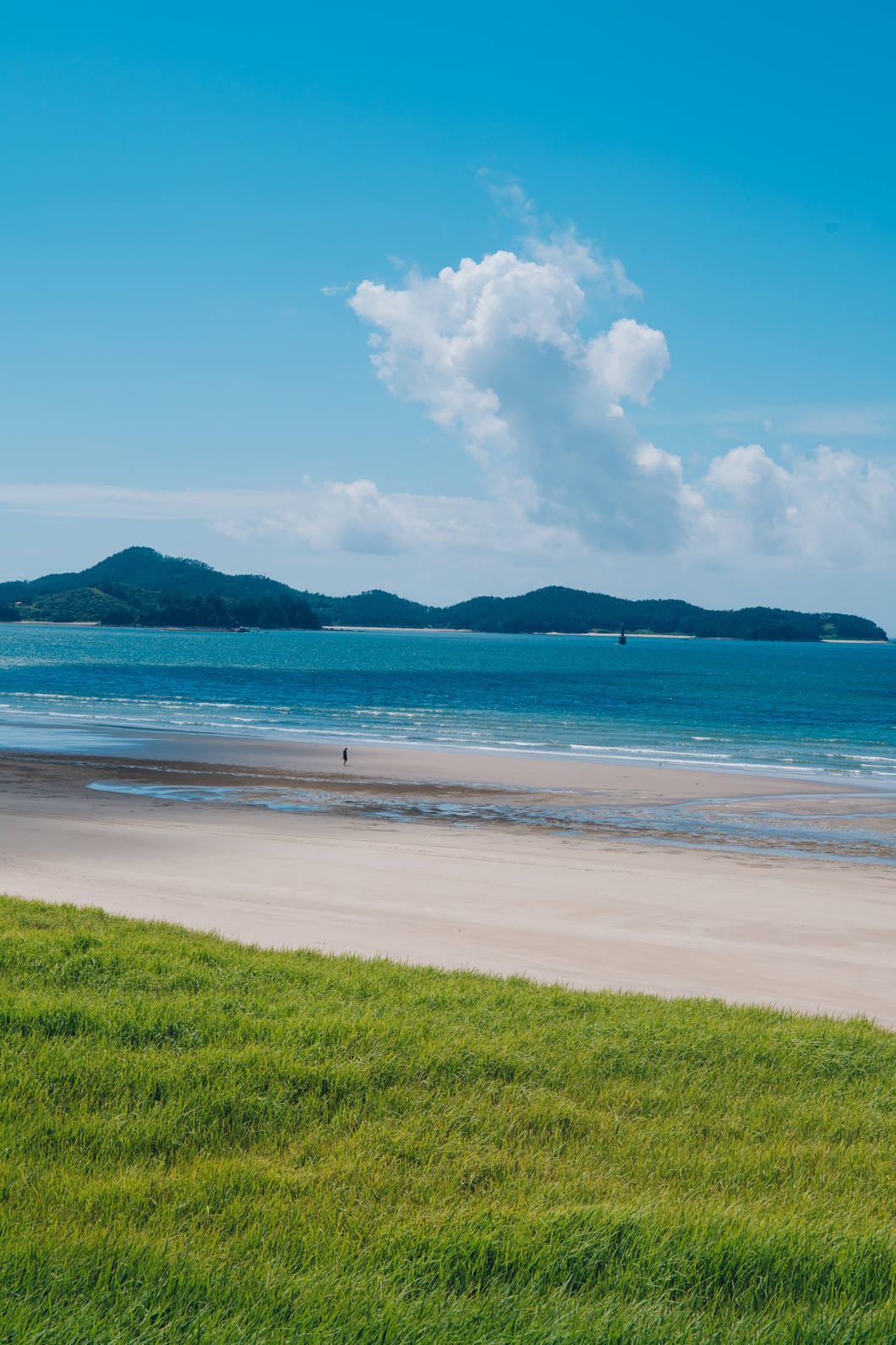 Obiektyw Samyang AF 24-60mm F/2.8 (Sony FE) + Gratis PolarPro filtr 72mm Shortstache Everyday Mist 1/4 /PL + zestaw Zeiss