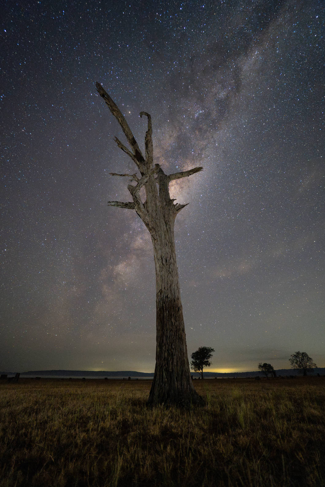 Obiektyw Samyang AF 16mm f/2.8 P (Sony FE)