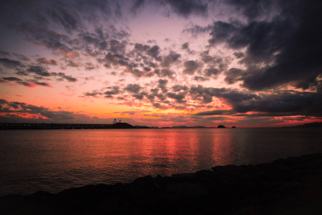 Obiektyw Samyang AF 12mm F/2.0 RF-S