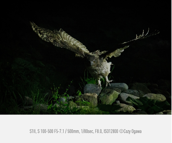 Obiektyw Panasonic Lumix S 100-500mm f/5-7.1 O.I.S - Rozszerz gwarancję do 5 lat!