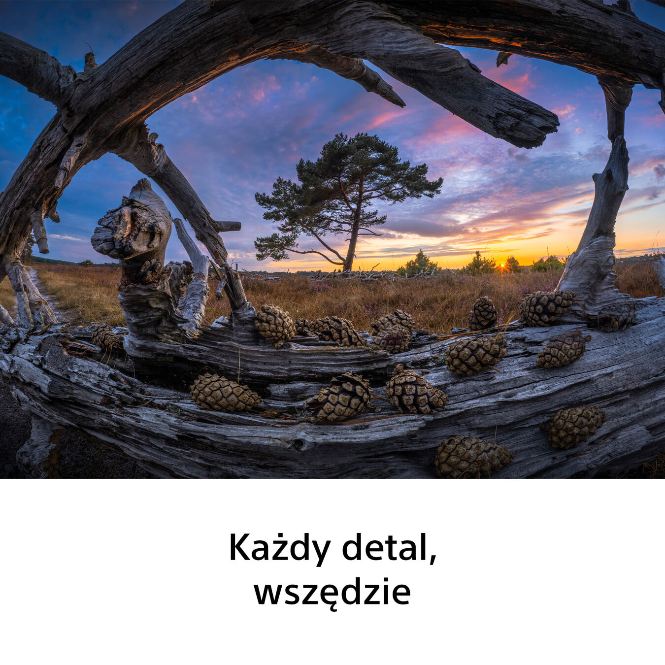 Obiektyw Sony FE 8-14mm f/3,5 G fisheye (SEL814G)