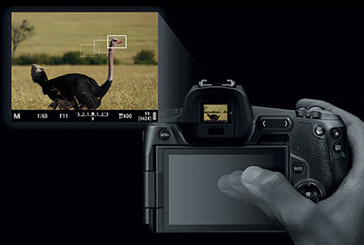 Bezlusterkowiec Canon EOS R + Adapter Canon EF-EOS R