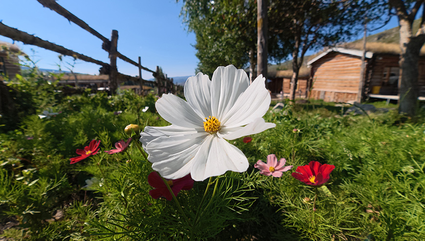 Kamera DJI Osmo Action 6 Adventure Combo