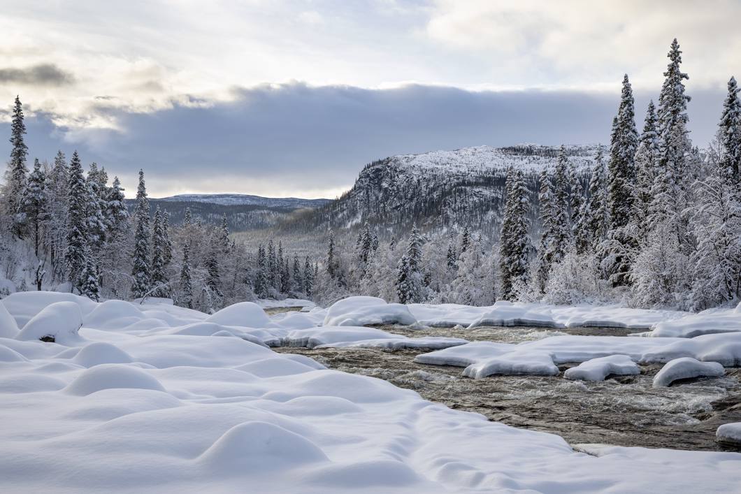 Obiektyw Samyang 50mm f/1,4 AF SONY FE II - sn:GAP22135 - Komis
