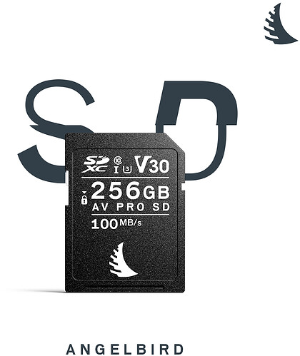 Karta pamięci Angelbird SDXC 256GB AV Pro (100MB/s) V30 UHS-I U3 -WYPRZEDAŻ