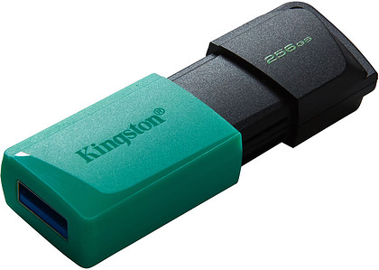Pendrive Kingston DataTraveler Exodia M USB 3.2 256GB (DTXM/256GB)