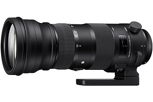 Obiektyw Sigma 150-600mm f/5-6,3 DG OS HSM Sports (Nikon) + 5 lat gwarancji