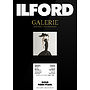 Papier ILFORD Galerie GOLD Fibre Pearl 290 | promocja Black Friday!